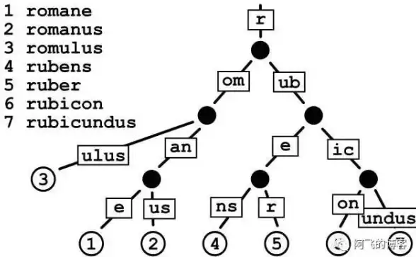 数据结构|存储优化 Redis编码转换机制及其实际应用，redis 编码转换