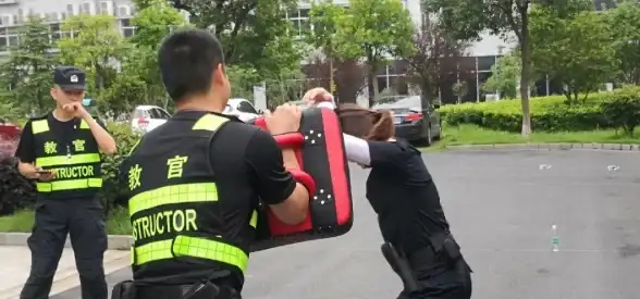 🔥攻略秘籍🔥防御提升🔥资源管理 家园攻防战新手快速进阶指南！