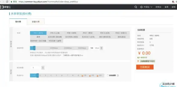 关联服务器管理｜高效掌控—实测精华】v2连接数与带宽优化技巧亮点
