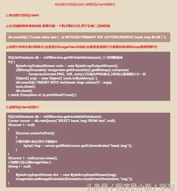 数据库管理|高效操作 简单易懂的方法：通过命令实现数据库访问，轻松掌握命令访问数据库