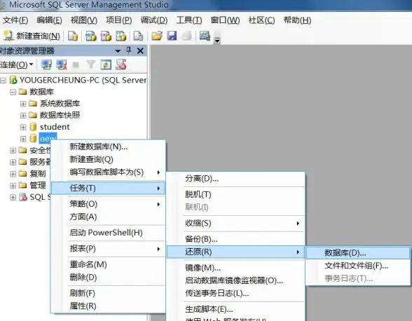 数据恢复 表还原 sqlserver数据库表如何进行还原操作？sqlserver数据库表还原方法详解