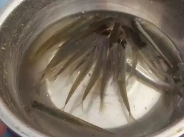 系统还原教程🛠一键还原精灵详细使用教程，小鱼手把手教你轻松操作