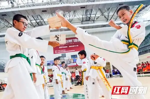 攻略📚武馆解析🔍全面深度剖析全民武馆卡池类型揭秘