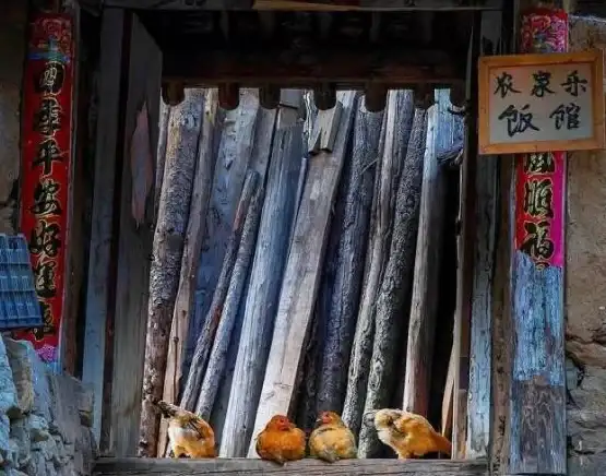 福利爆棚★限时活动★兑换码攻略｜探索《桃源深处有人家》11月22日特别惊喜！