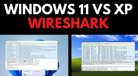 正版软件获取🔒Win11系统安全下载安装正版软件全流程详细指南