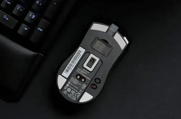 电竞装备🎮雷蛇鼠标：提升操作精准度的游戏神器