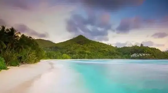 农场攻略🌾我的世界猪灵自动高效收集方案解析