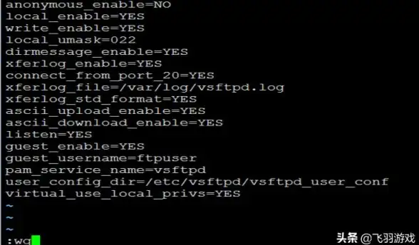 FTP下载利器 高效文件管理新选择 IT运维盘点】免费FTP服务器工具与实用管理技巧