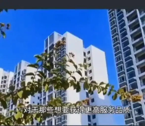实用技巧｜小鱼手把手教会你如何正确使用，轻松掌握核心方法