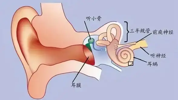 操作系统🚀系统之家 专业安全的系统下载平台，轻松获取高品质操作系统与技术服务
