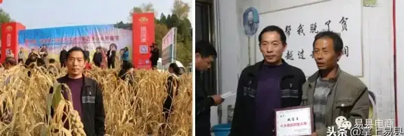 站长必看 实战运营速成技—高效盈利实用秘籍全解！网站攻略】