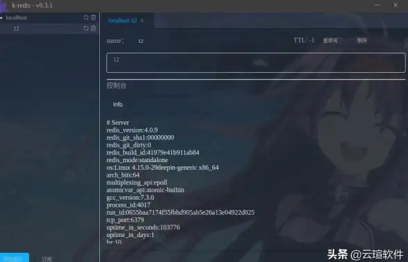 Redis管理 界面设计 Redis用户界面开发指南及工具使用方法，redis用户界面的常用工具介绍
