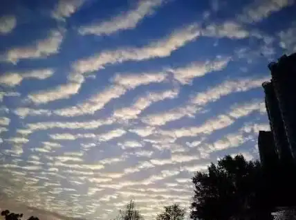 云计算|科技变革 天使还是魔鬼？云计算成为最强破坏性力量
