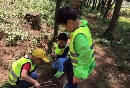 自然探索●生态文明●人文关怀｜荒野起源》全球首曝，深度解读人类与自然关系