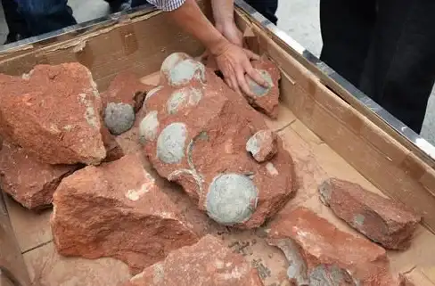 恐龙狩猎🔥终极攻略 怪物猎人挑战最佳武器装备推荐