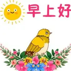 微信教程📱手机上微信下载安装全流程指南，轻松搞定每一步