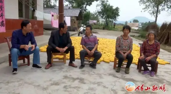 🔥必看攻略🔥超强老兵肩属性解析与最强搭配推荐