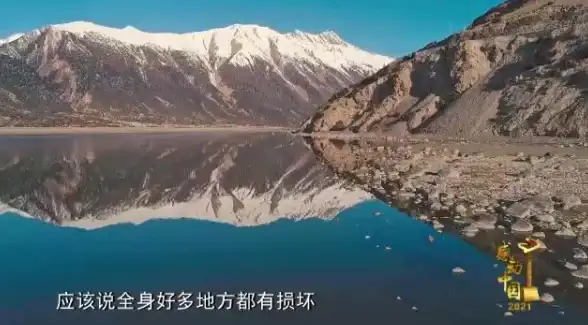 冒险指南◆宠物收藏◆水晶世界｜最终幻想14阿尼玛之形获取全攻略详解！
