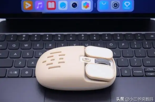 浏览器 火孤浏览器：畅享高效安全的智能网络之旅