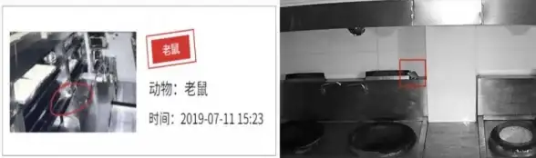 云服务器实用指南｜快速掌握老鼠台部署诀窍—实用技巧全面解析