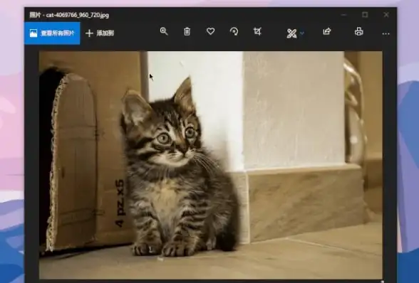 截图技巧📷win8系统自带截图工具详细使用方法解析