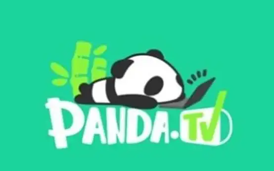 ⚡运维必看⚡熊猫服务器登录故障全解析—网络配置要点与风险预警｜服务器管理