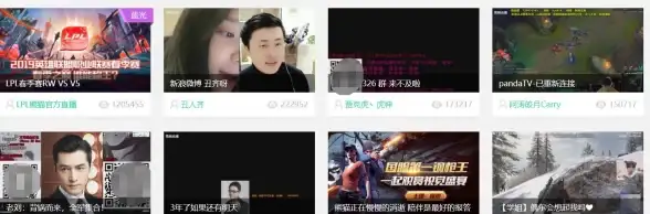 ⚡运维必看⚡熊猫服务器登录故障全解析—网络配置要点与风险预警｜服务器管理