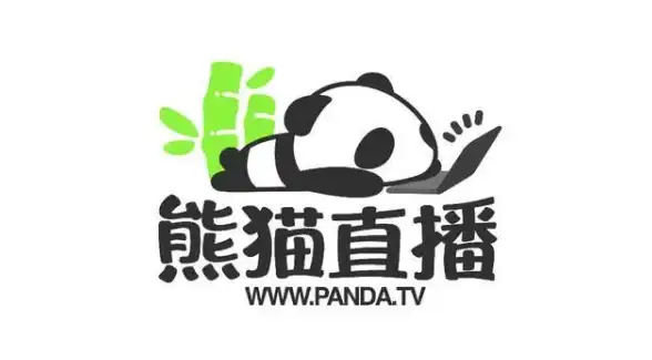 ⚡运维必看⚡熊猫服务器登录故障全解析—网络配置要点与风险预警｜服务器管理