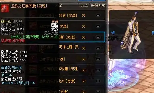 🔥攻略秘籍🔥装备解析｜地下城与勇士：起源》圣裁之狂暴图腾全方位属性深度解读！
