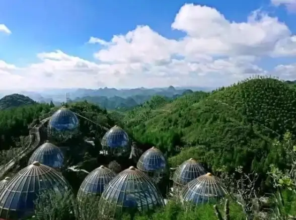 实用技巧大揭秘｜动态IP服务器部署全攻略 云计算精选指南