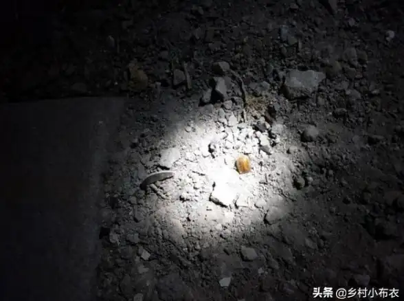 【APP体验指南】全新夜趣应用秒速安装教程！丨亲测实用技巧大公开