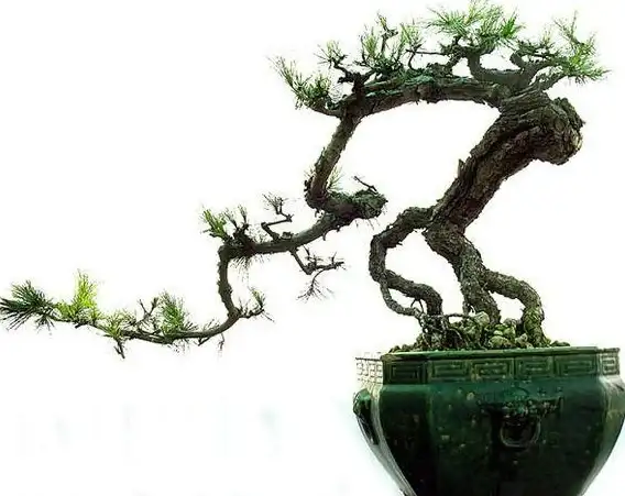 极速解锁｜新手畅玩攻略，节奏大师下载难题全解析—热门游戏精选】