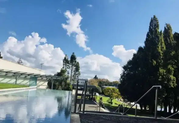 数据分析|信息管理|数据库离散型数据处理方法与实际应用解析