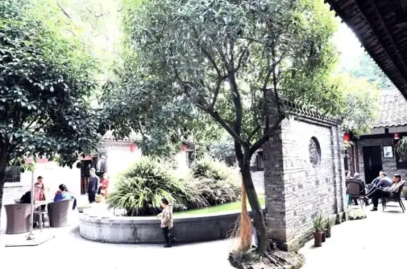 热门攻略♦隐藏福利♦必看提示 大侠立志传荒废庭院任务隐藏奖励全解析！