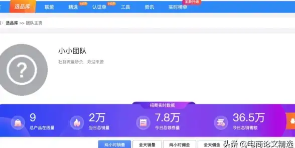 淘客行业｜揭秘淘客系统源码维护策略与法律合规避坑指南｜最新风险警示