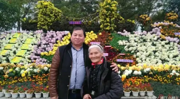 微信技巧📱朋友圈：掌握微信发朋友圈方法，详细流程及高效发布小窍门分享