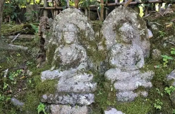生存·探险·必看｜荒野起源》超全新手攻略，环境适应与危险规避全掌握！