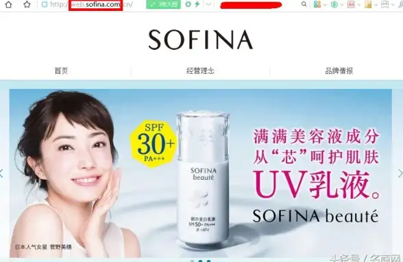 建站洞察｜企业形象飞跃秘籍！必读】企业网站源码高效塑造品牌力