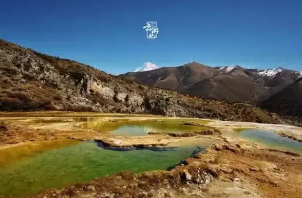 美食探秘🍽梦境食旅终极阵容精选与搭配攻略