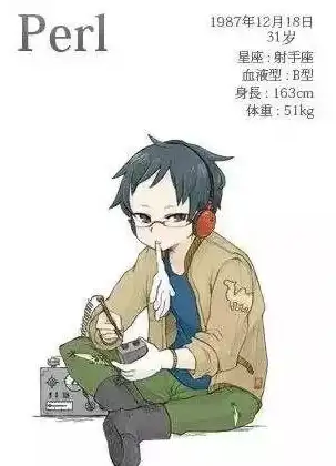 【独家技巧】Perl高效下载全攻略！实用方法大盘点，编程必备速查宝典【干货合集】