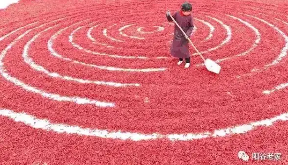 🔥实用攻略🔥丰收之路 墨西哥工厂关键任务全解析及资源获取宝典