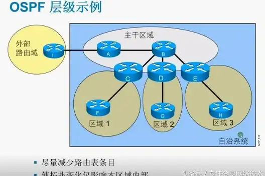 路由协议|网络优化 OSPF拓扑数据库详解与高效管理，ospf拓扑数据库