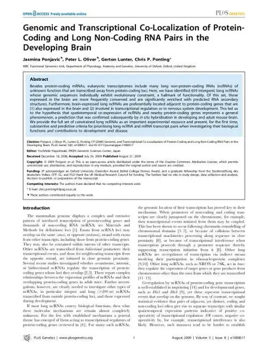 办公文档🚀Word 2007完全学习手册：高效提升文档编辑与排版技能