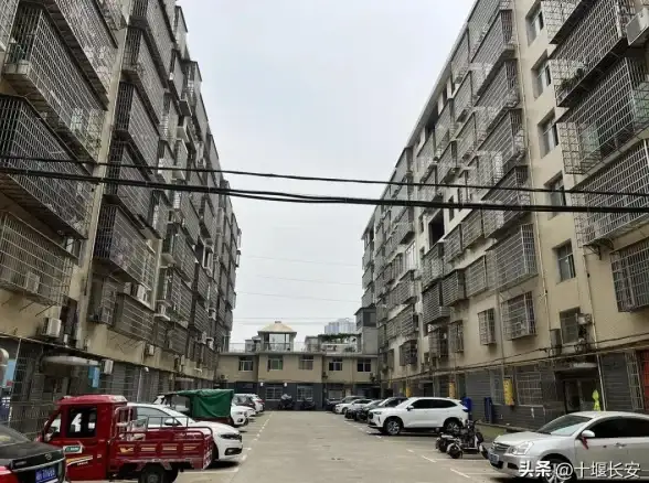 策略对决🔥全面剖析火法雷法职业优劣对比分析