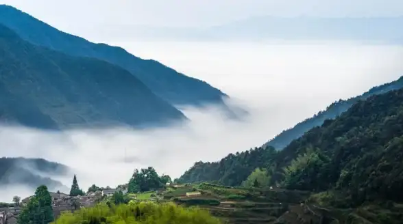 秘境探索▪隐藏宝藏▪前期攻略 揭秘《桃源记2》惊喜发现！