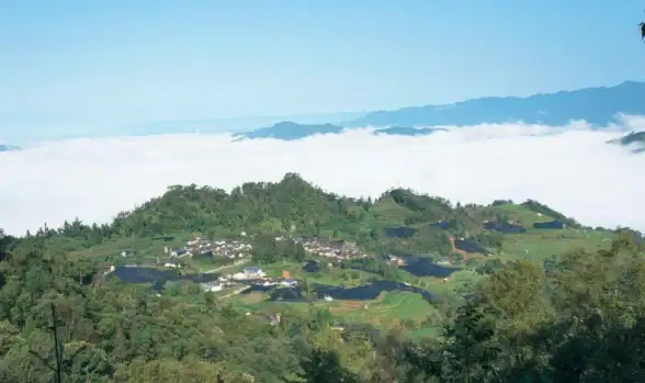 关注｜土豆服务器数据丢失警报！云端数据危机速报】免费恢复方法与实用技巧