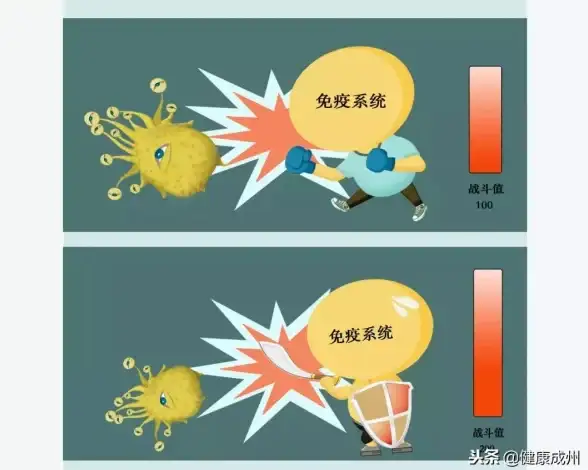 CDN加速,网络优化-湖南张家界专业级CDN节点服务方案