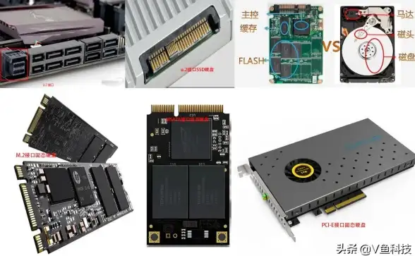 存储卡知识📱TF卡与SD卡的区别详解，小鱼带你轻松分辨存储卡类型