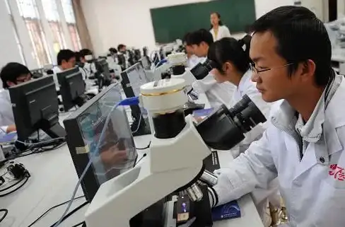 人脉圈 智慧导航：揭秘职场处世精髓丨人际关系必修课 本质洞察 