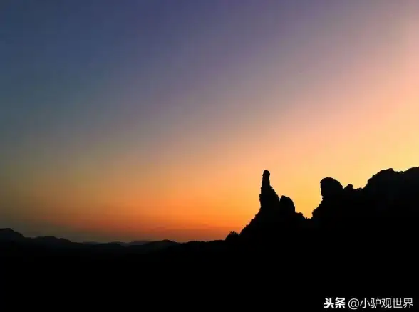 📌必看 攻略 干货 无限暖暖白日昆虫任务必备道具全解析＋快速获取技巧！